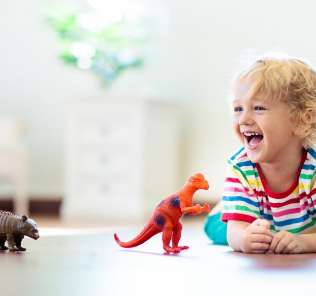 Homepage Header Image